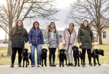 Les duos d’intervention sont composés de chiens provenant de la Fondation Mira et d’intervenantes spécialisées du Réseau des CAVAC. De gauche à droite : Roxanne Dubé et Mays (district de Trois-Rivières), Sophie Beauchamp et Voltigeur (district de Laval), Brenda Michaud et Joe (district de Kamouraska), Stéphanie Beaudry et Salto (district de Bedford), Roxanne Lamontagne et Tera (district de Baie-Comeau). Crédit photo : Maude Fortin, Fondation Mira. (Groupe CNW/Cabinet du ministre de la Justice et procureur général du Québec)