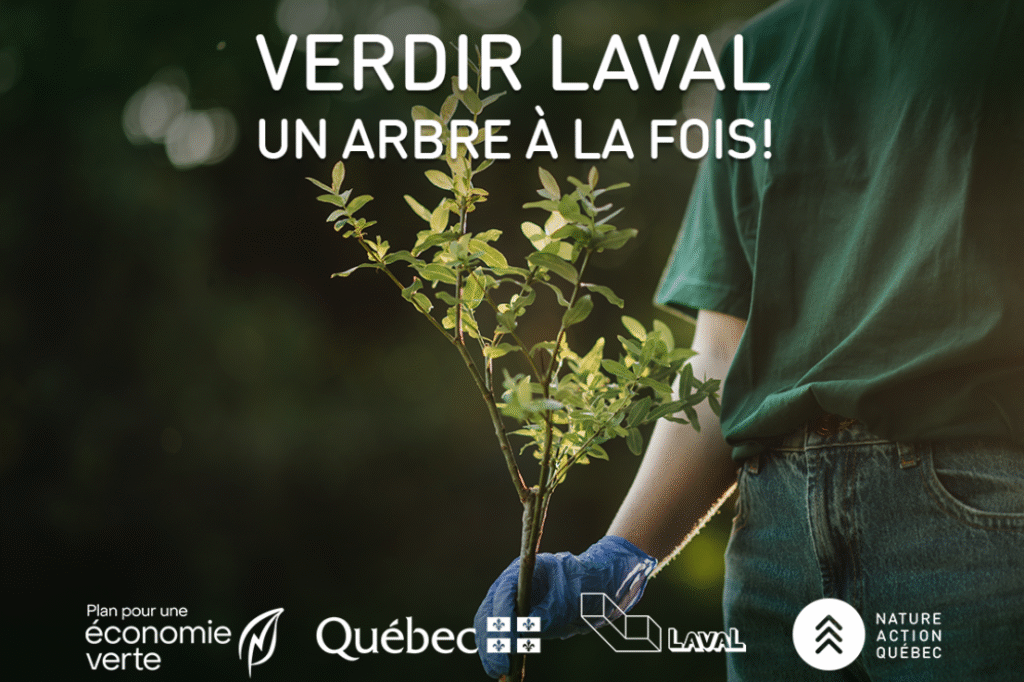 Média Laval