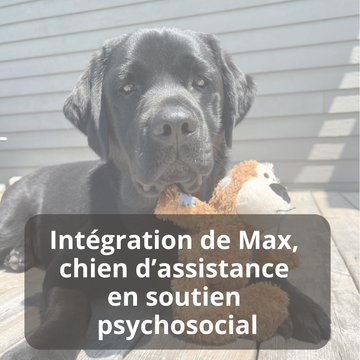 Média Laval