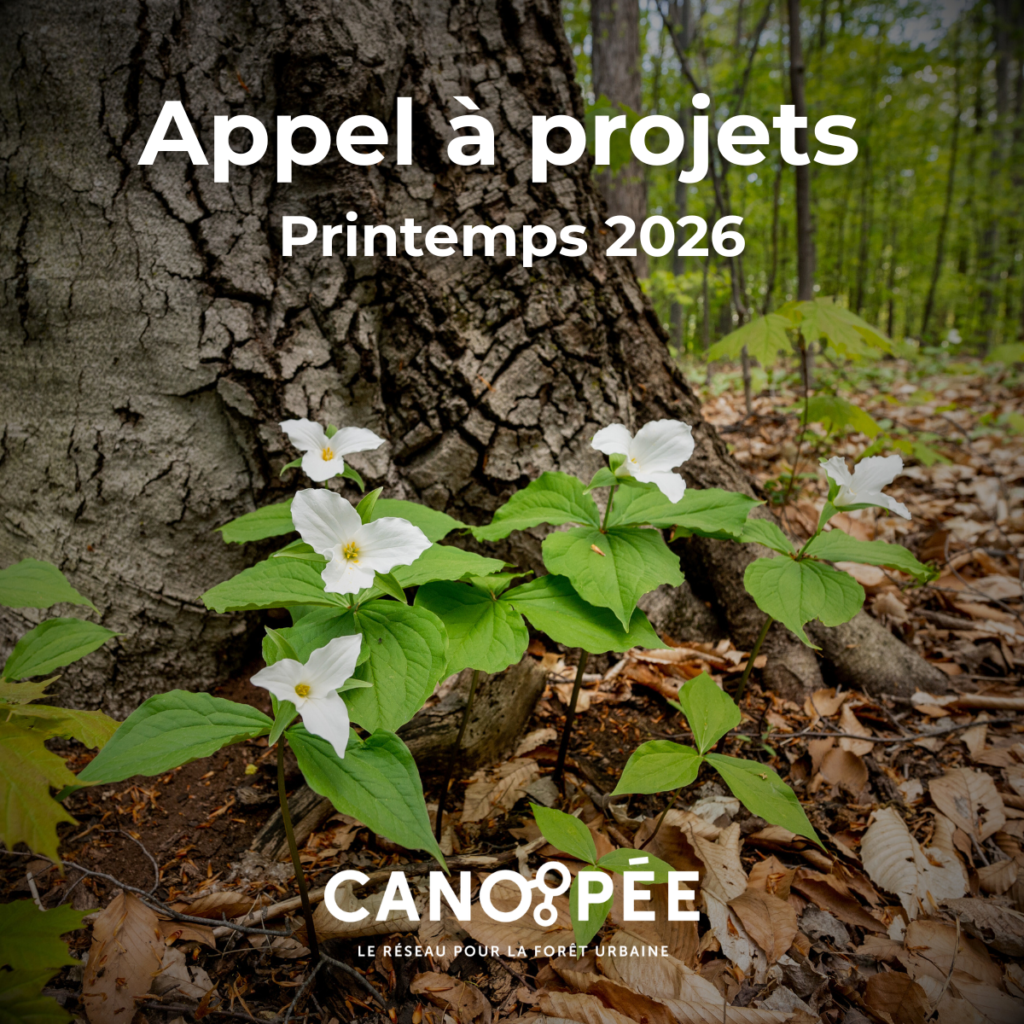 CANOPÉE Appel à projet Média Laval
