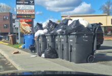 Row of black garbage bins overflowing with plastic bags in a parking lot beside a storefront sign.