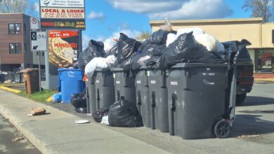 Row of black garbage bins overflowing with plastic bags in a parking lot beside a storefront sign.