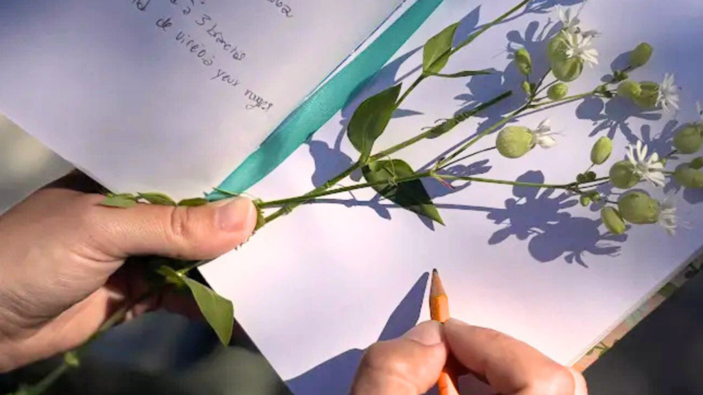 Canopée Média Laval Hands hold a small flowering sprig with white blossoms and green buds over a notebook; an orange pencil is nearby, suggesting a plant study or illustration.