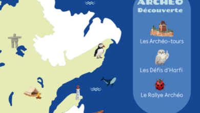 Illustrated coast map with a lighthouse and penguin; a blue rounded panel on the right lists Archeo Découverte tours and the site moisdelarcheo.com.