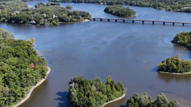 Aerial view of a wide river with tree-covered islands and a long bridge crossing the water. At center, a large island cluster creates a curved inlet.